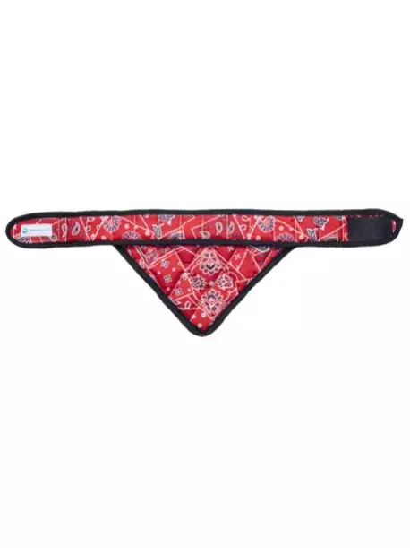 Chladící šátek Aqua CoolKeeper pro pejsky Red Western