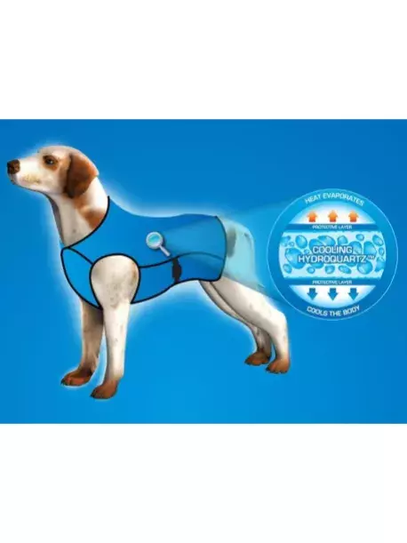 Chladící vesta Aqua CoolKeeper pro pejsky Roses