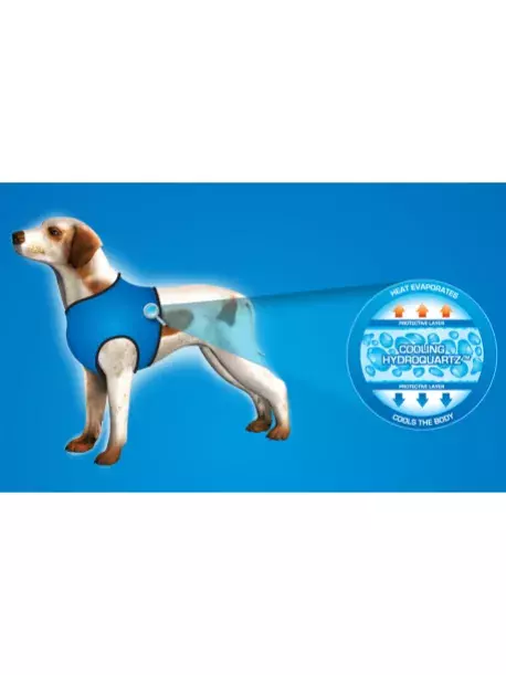Chladící postroj pro pejsky Aqua CoolKeeper Red Western