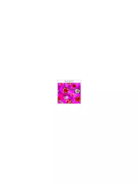 Chladící vesta Aqua CoolKeeper pro pejsky Roses